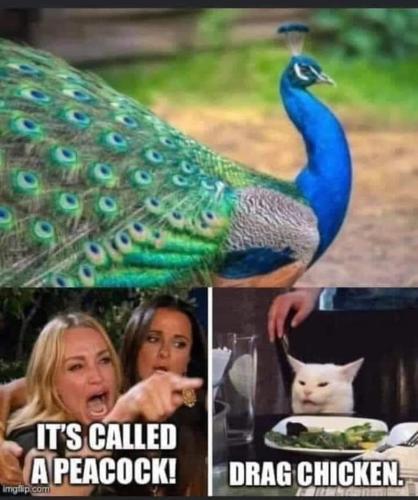FB_IMG_1658424614276