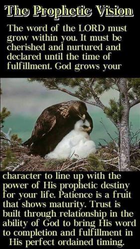 FB_IMG_1658133943786