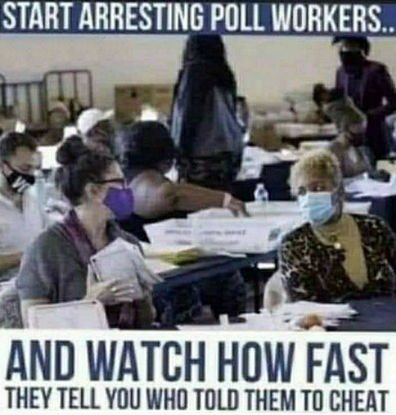 voterfraud331