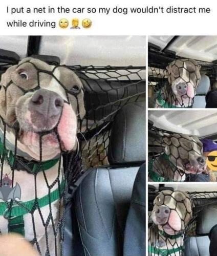 FB_IMG_1658451065273