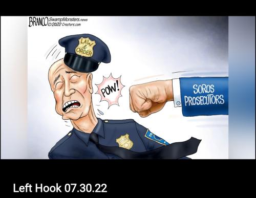 Screenshot_20220730-130443_Fox News