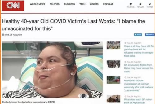 download - 2022-07-08T134347.181