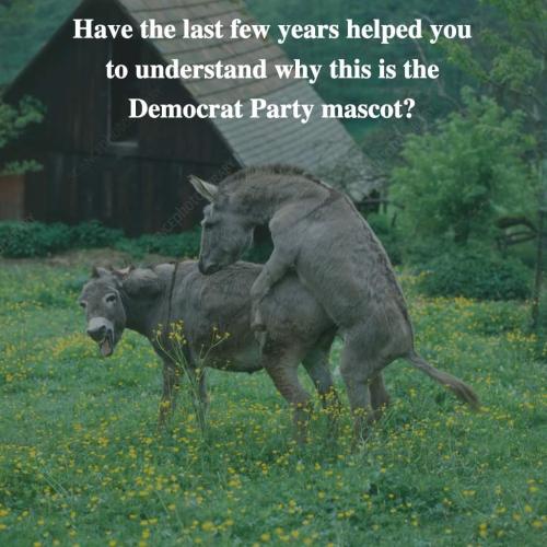FB_IMG_1658431464052