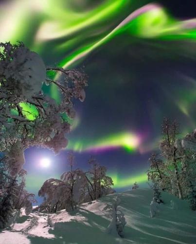 ,                                                                                                                                                                                                                          0 2