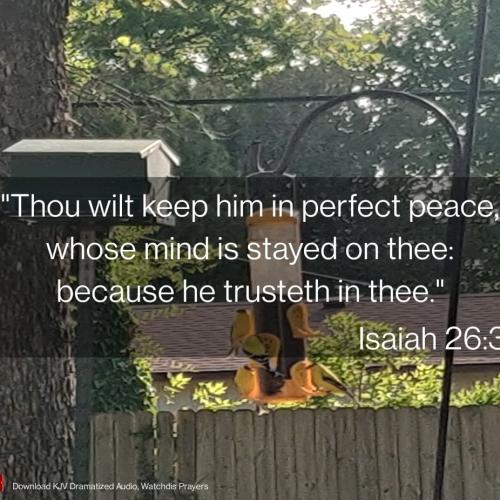 IMG_20220702_200949_897