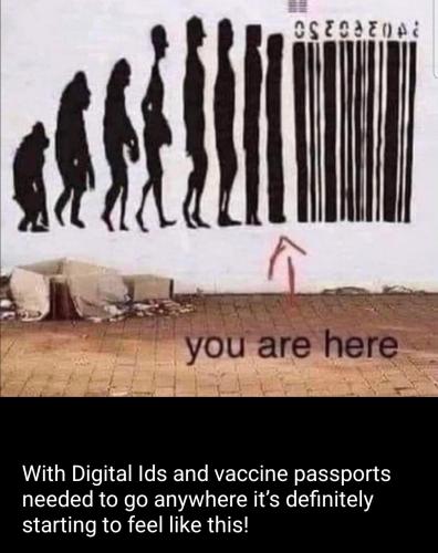 20220721025220