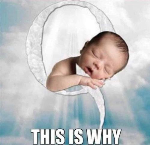 photo_2022-07-19_13-12-19