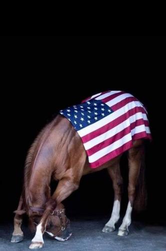 289650483_142079355157385_569941976791000027_n