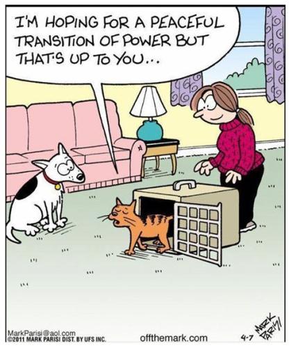 290029669_5784218014940908_7426175449582792302_n