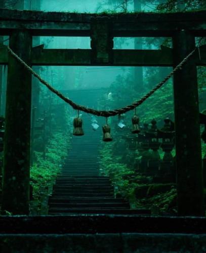 296380949_167703095772040_1964357569130707113_n