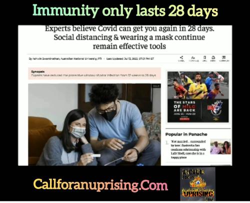 Screenshot_2022-07-26-17-02-01-471_com.camerasideas.trimmer~2