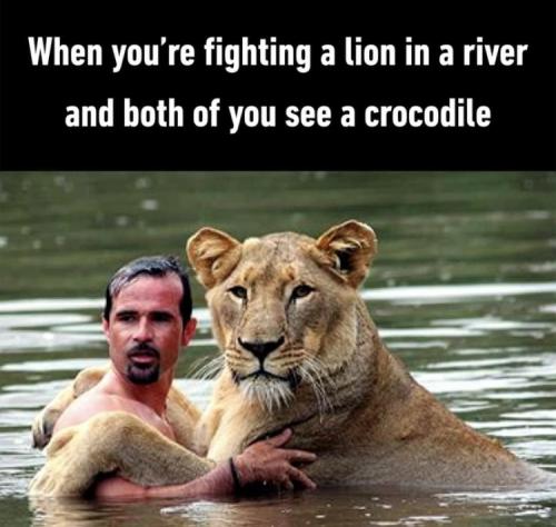 08:51:15 GMT-0400 (EDT)