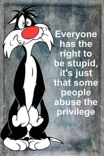 FB_IMG_1659036419479