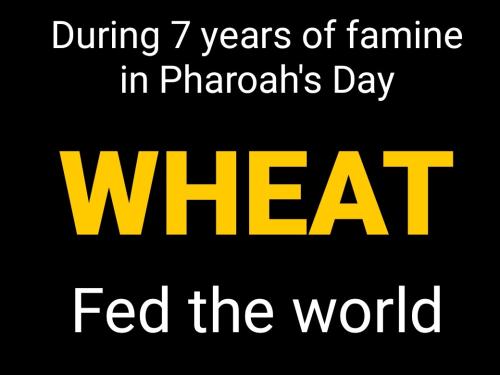 Screenshot_2022-07-01-14-43-48-828_cn.wps.moffice_eng~2