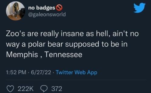 tumblr_6f04854ab7e61eab480194e3616dc508_c1af4b47_1280