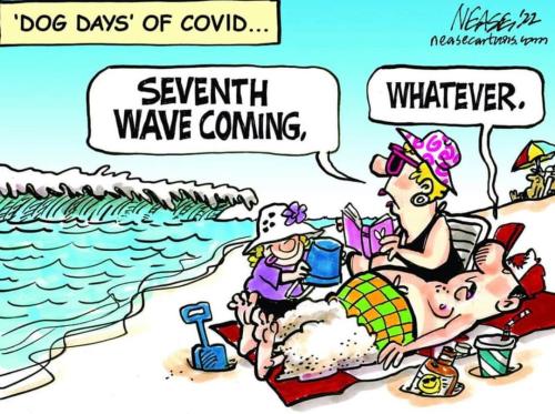 294503533_5416065151787450_7753104953078298975_n