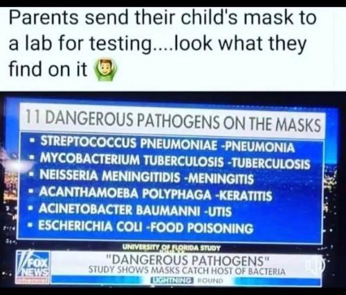 Dangerous Pathogens On Used Masks: