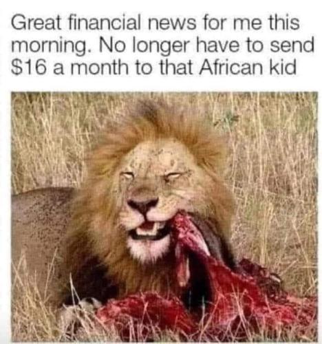 FB_IMG_1658791364541
