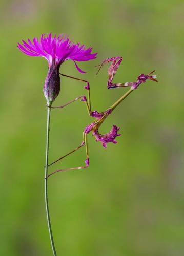 291588572_5377076635688628_1745235191815062347_n