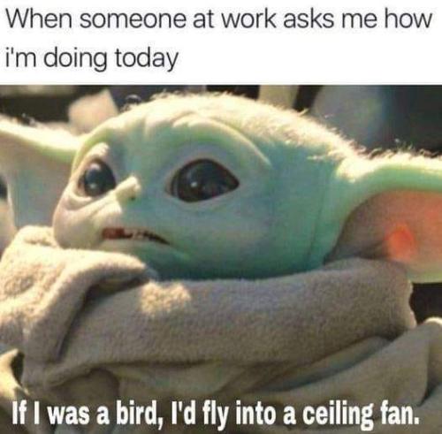 290227601_5083822615060082_6397862862864834342_n