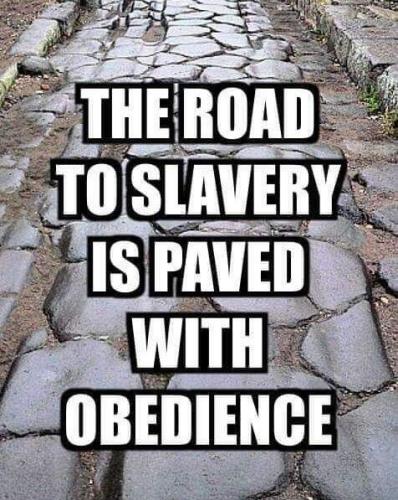 xephula_32145a10c1bcfda4ec7c1f0d314f1d66