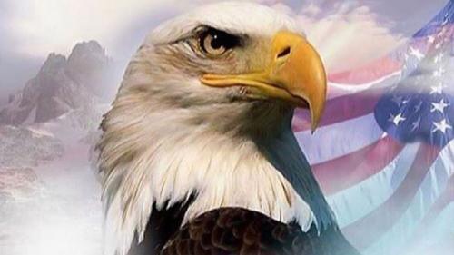 AMerican-Memes-784x441