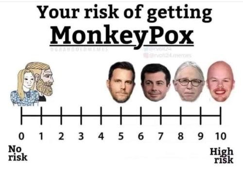 monkeypox_risk_graph