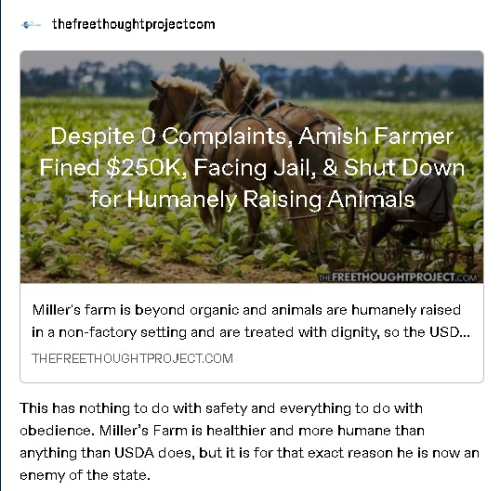 captures_chrome-capture-2022-6-26 (2)