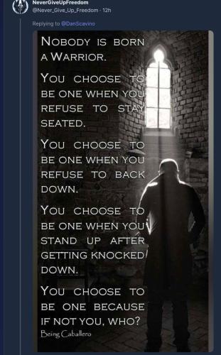 photo_2022-07-01_17-05-04