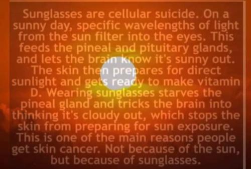 FB_IMG_1657111639528