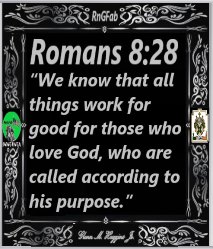 RnGFab Frame black n siliver