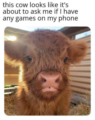 FB_IMG_1657474166277