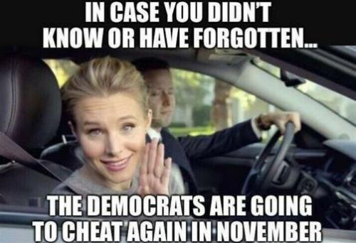 voterfraud328