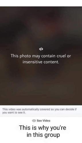 FB_IMG_1658420495467