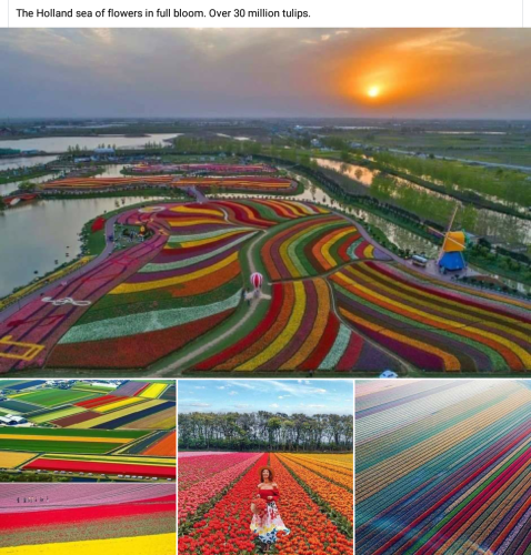 Screenshot_2022-07-01-14-43-05_kindlephoto-293812613