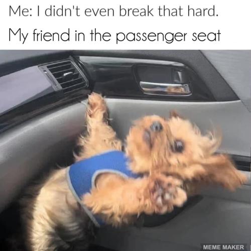 download - 2022-07-20T102554.180