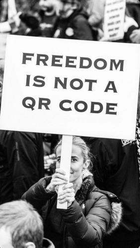 download - 2022-07-03T172601.304