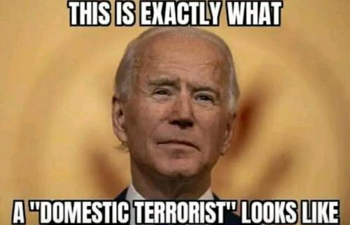 domestic terrorists06