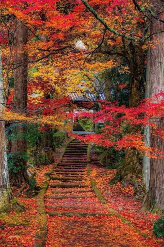 291111447_559067235847752_5043744761783657978_n