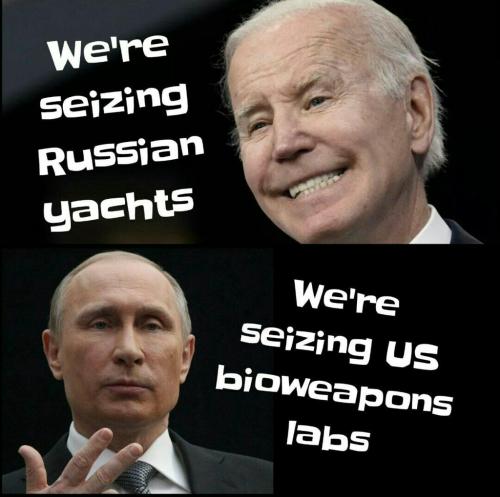 download - 2022-07-08T134251.401