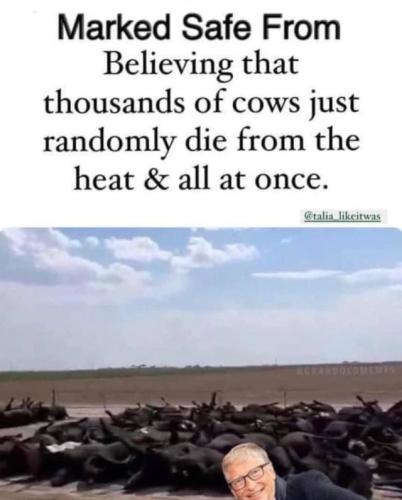 tumblr_274b64c6489284efd7fc374cda874603_edaf538d_640