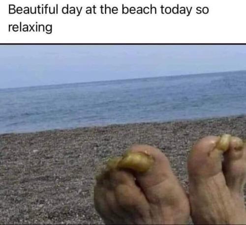 FB_IMG_1658327559671