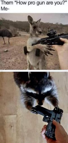 FB_IMG_1658954746558