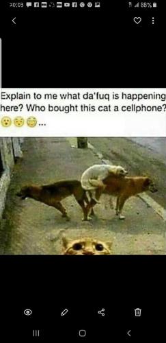 FB_IMG_1659027761484