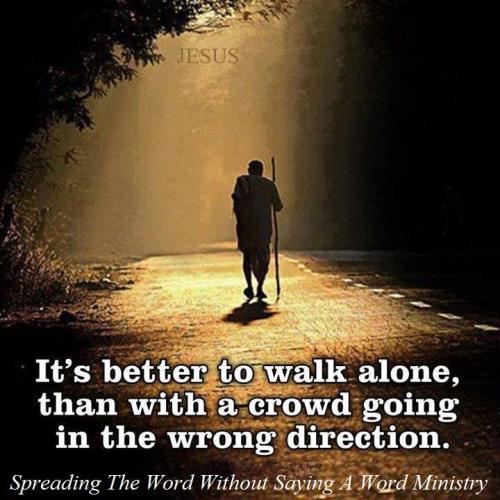 57530991_2273199399428845_7007298770454970368_n