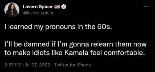 Pronouns 1