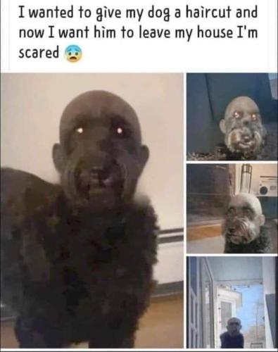 FB_IMG_1656950056185