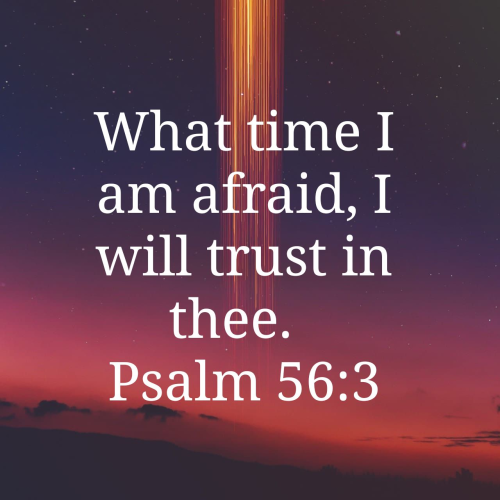 08:01:09 GMT-0400 (EDT)