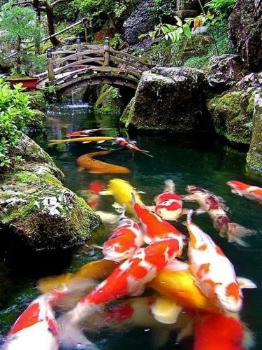 210502327_1693047450880495_1034950563047191039_n