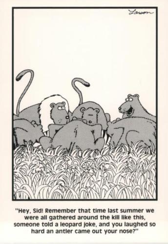 293060564_1755253281477159_4826161560460795886_n